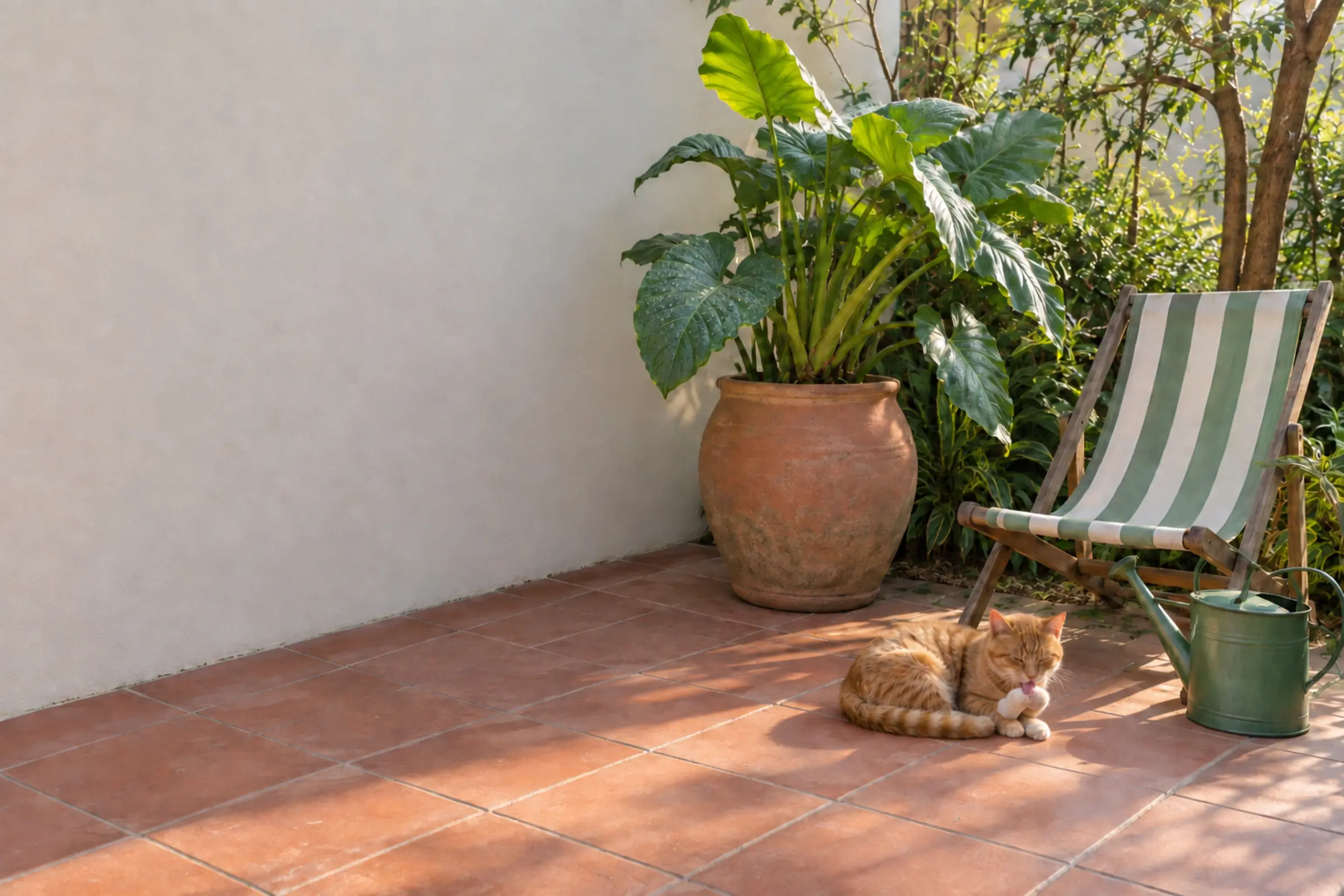 O mesmo canto de quintal pela manhã, com o gato acordado lambendo a pata.
